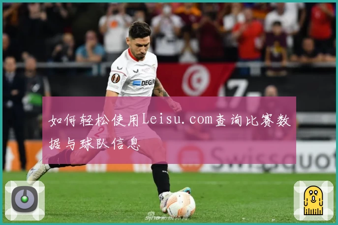 如何轻松使用Leisu.com查询比赛数据与球队信息