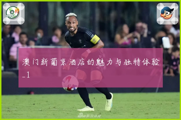 澳门新葡京酒店的魅力与独特体验_1