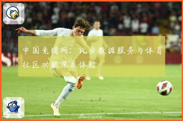 中国竞猜网:比分数据服务与体育社区功能深度体验