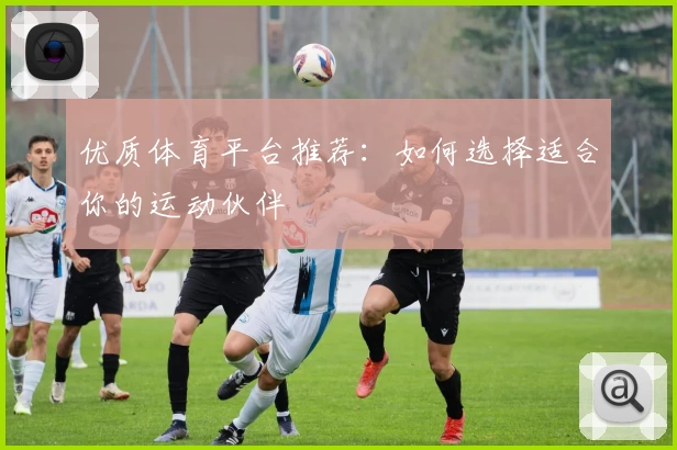 优质体育平台推荐：如何选择适合你的运动伙伴