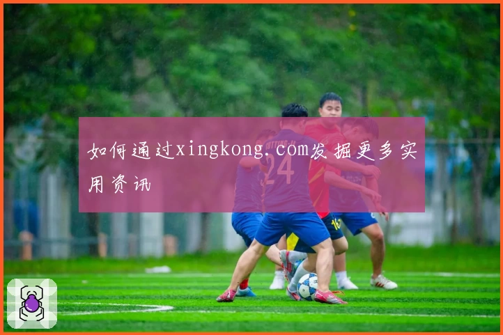 如何通过xingkong.com发掘更多实用资讯