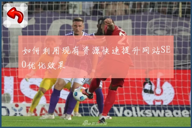如何利用现有资源快速提升网站SEO优化效果