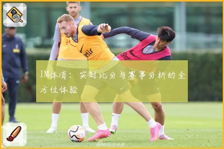 IM体育：实时比分与赛事分析的全方位体验