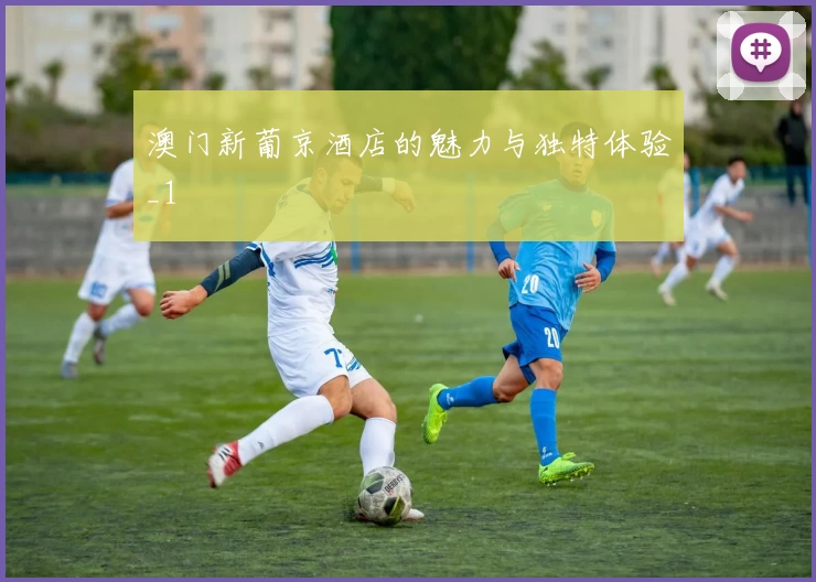 澳门新葡京酒店的魅力与独特体验_1
