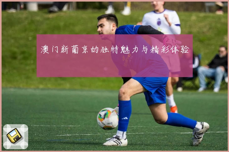 澳门新葡京的独特魅力与精彩体验