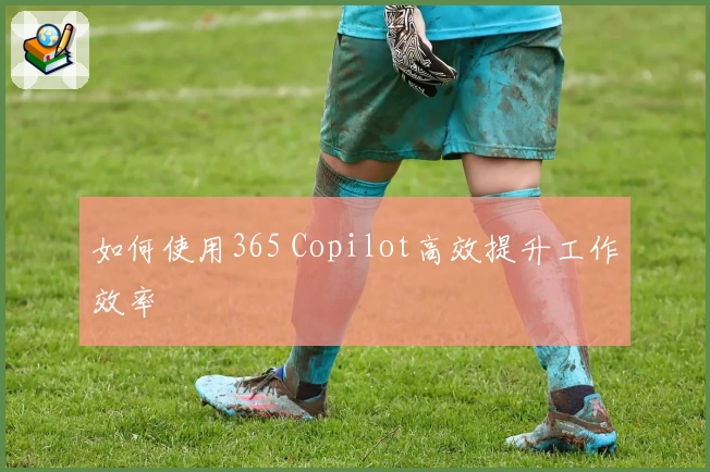 如何使用365 Copilot高效提升工作效率