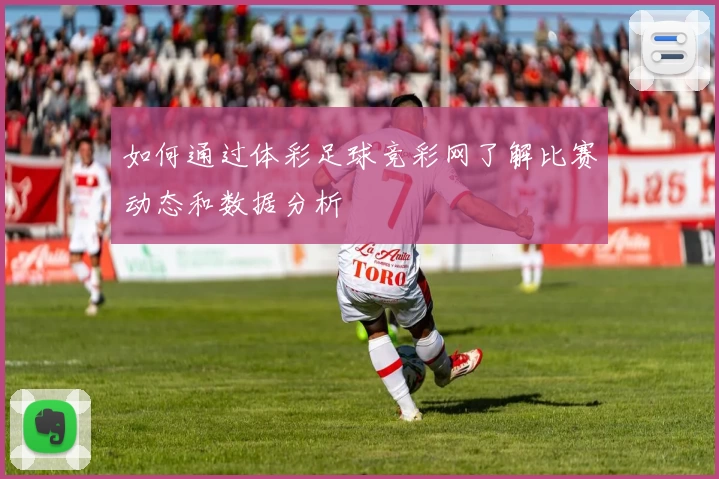 如何通过体彩足球竞彩网了解比赛动态和数据分析