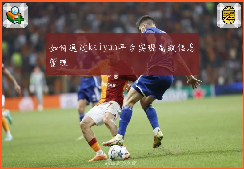 如何通过kaiyun平台实现高效信息管理