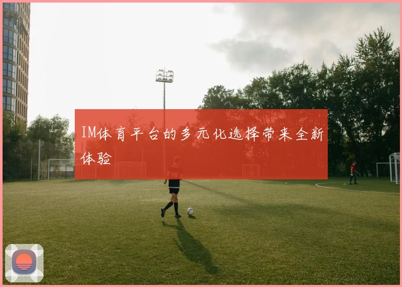 IM体育平台的多元化选择带来全新体验