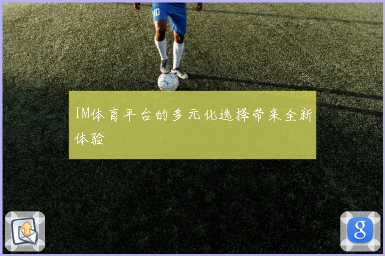 IM体育平台的多元化选择带来全新体验
