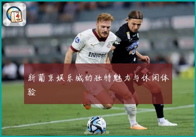 新葡京娱乐城的独特魅力与休闲体验