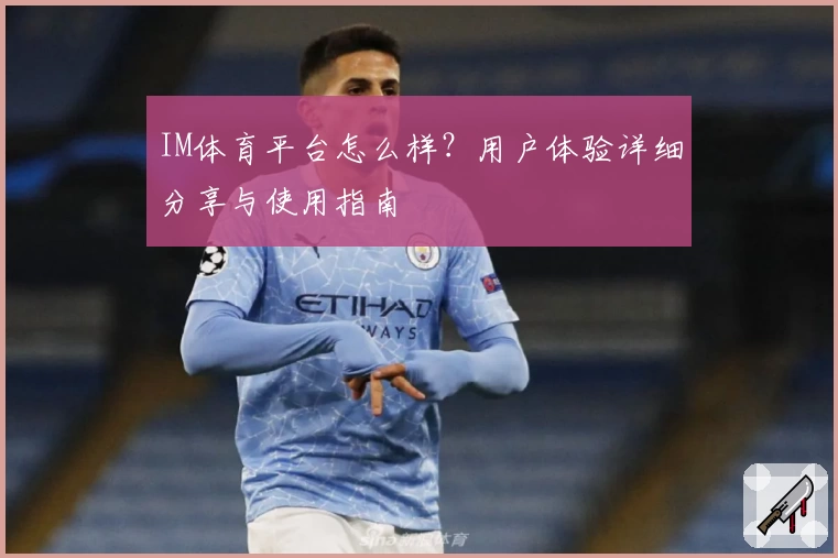 IM体育平台怎么样？用户体验详细分享与使用指南
