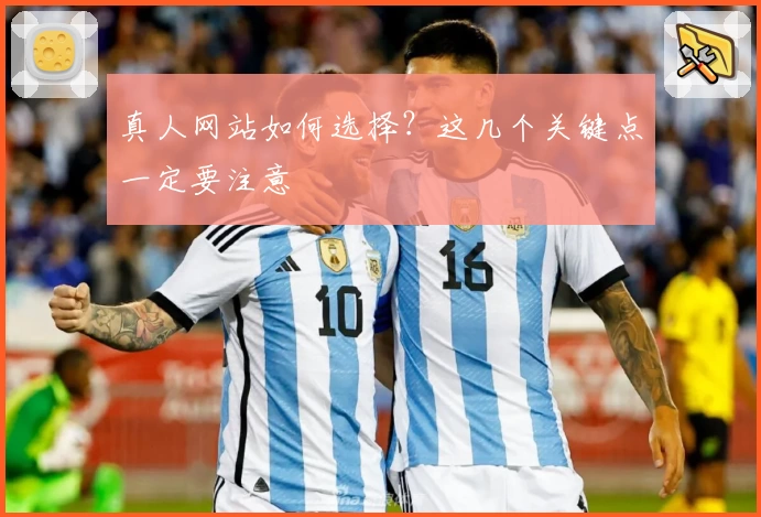 真人网站如何选择？这几个关键点一定要注意