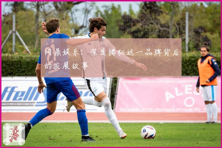 问鼎娱乐：深度揭秘这一品牌背后的发展故事