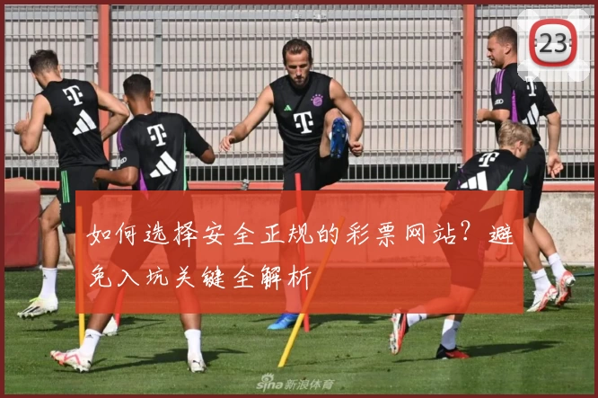 如何选择安全正规的彩票网站？避免入坑关键全解析