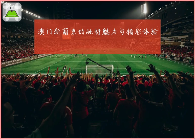 澳门新葡京的独特魅力与精彩体验