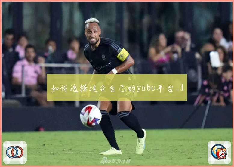 如何选择适合自己的yabo平台_1