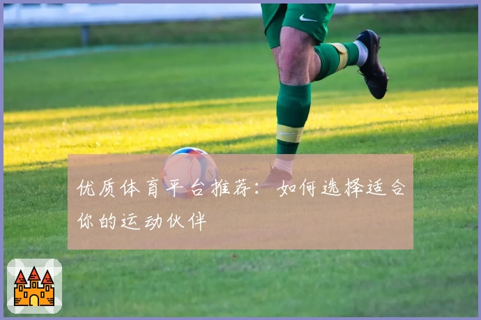 优质体育平台推荐：如何选择适合你的运动伙伴