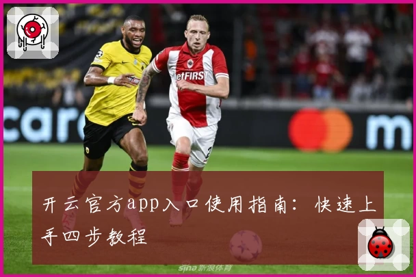 开云官方app入口使用指南：快速上手四步教程