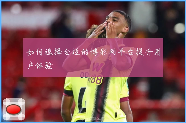如何选择合适的博彩网平台提升用户体验