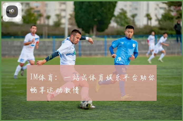 IM体育：一站式体育娱乐平台助你畅享运动激情