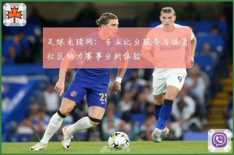 足球竞猜网：专业比分服务与体育社区助力赛事分析体验