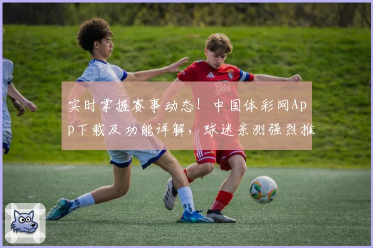 实时掌握赛事动态！中国体彩网App下载及功能详解，球迷亲测强烈推荐