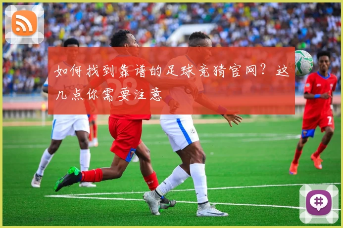 如何找到靠谱的足球竞猜官网？这几点你需要注意