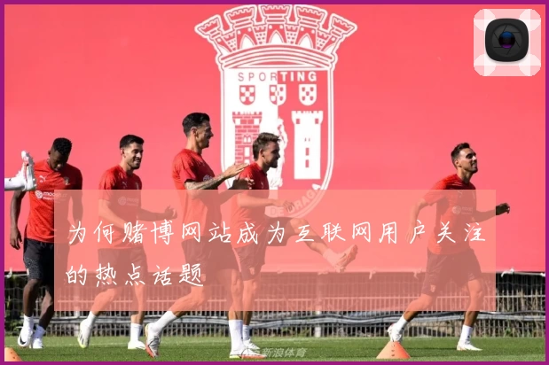 为何赌博网站成为互联网用户关注的热点话题