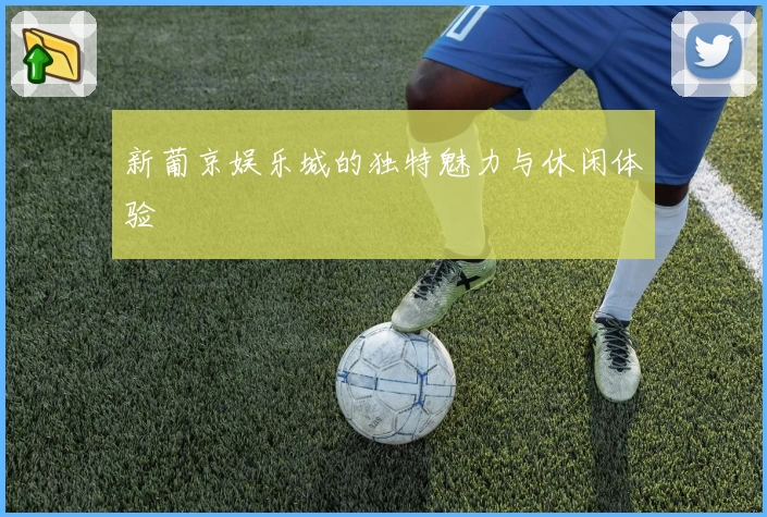 新葡京娱乐城的独特魅力与休闲体验