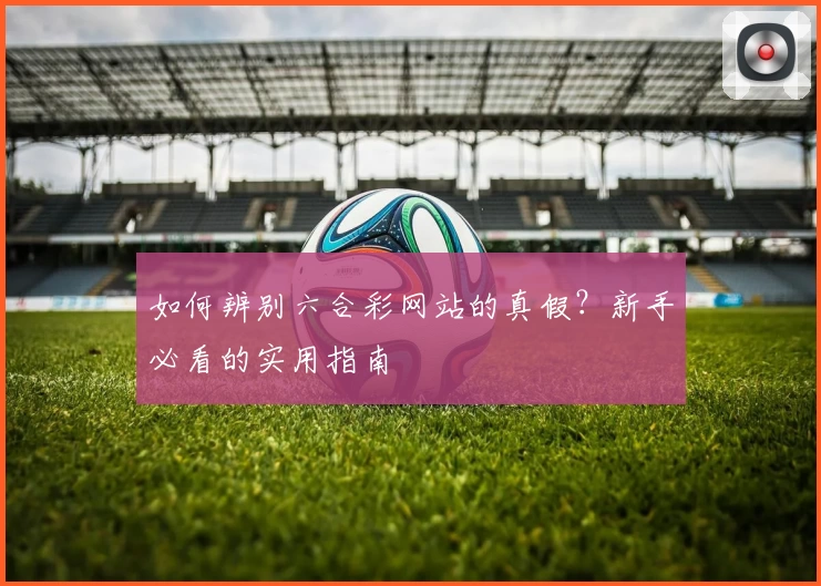 如何辨别六合彩网站的真假？新手必看的实用指南