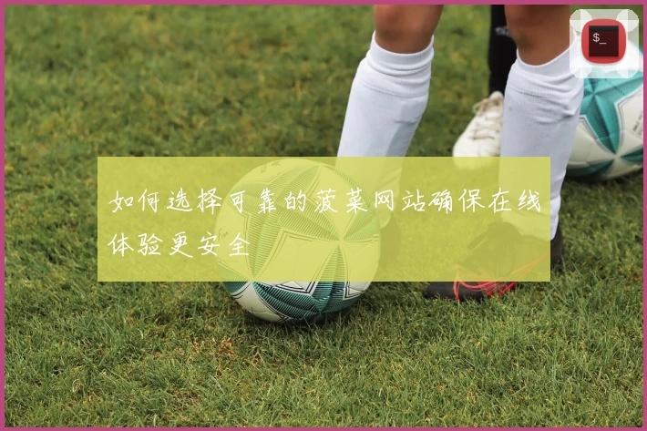 如何选择可靠的菠菜网站确保在线体验更安全