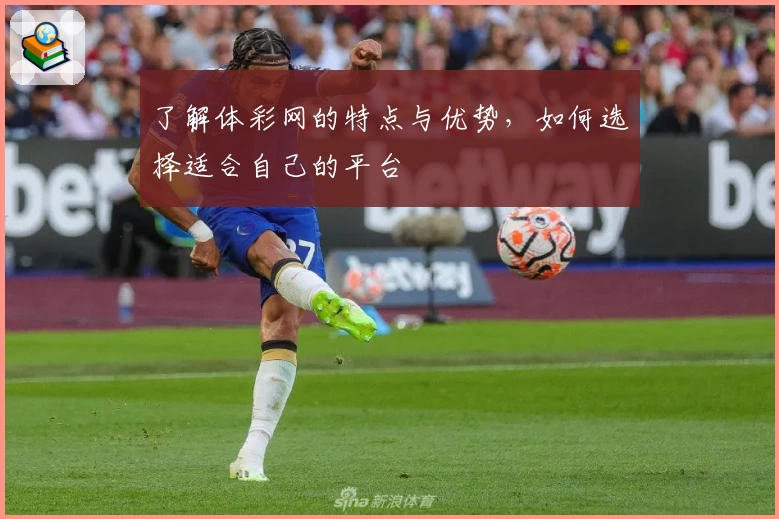 了解体彩网的特点与优势，如何选择适合自己的平台
