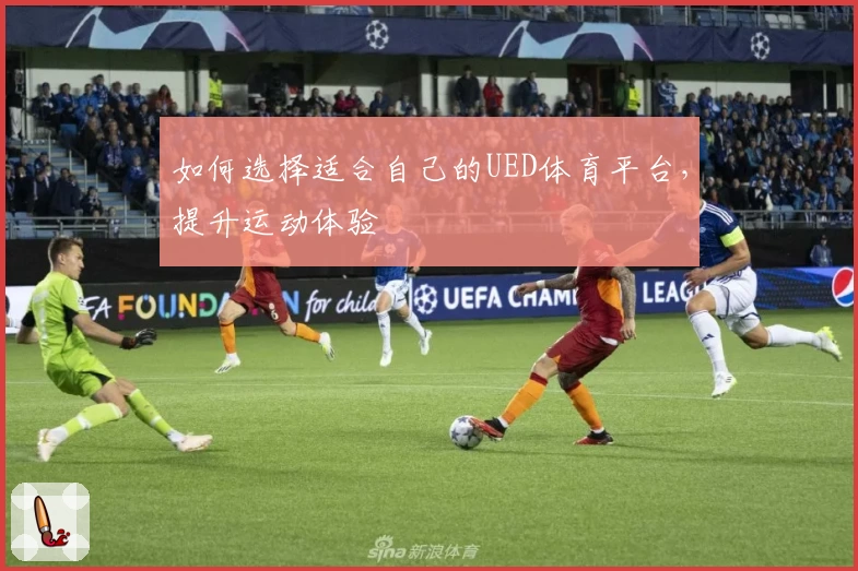如何选择适合自己的UED体育平台，提升运动体验