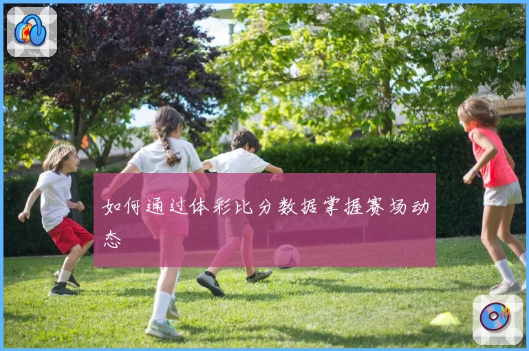 如何通过体彩比分数据掌握赛场动态